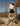 RAFFAELLA SHORT SHORTS